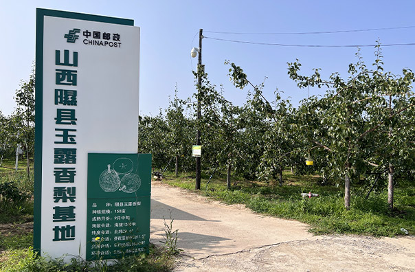 地域特色品牌